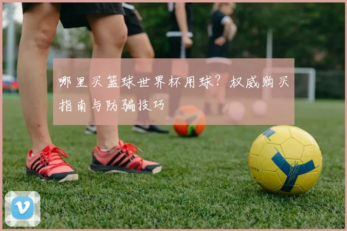 哪里买篮球世界杯用球？权威购买指南与防骗技巧