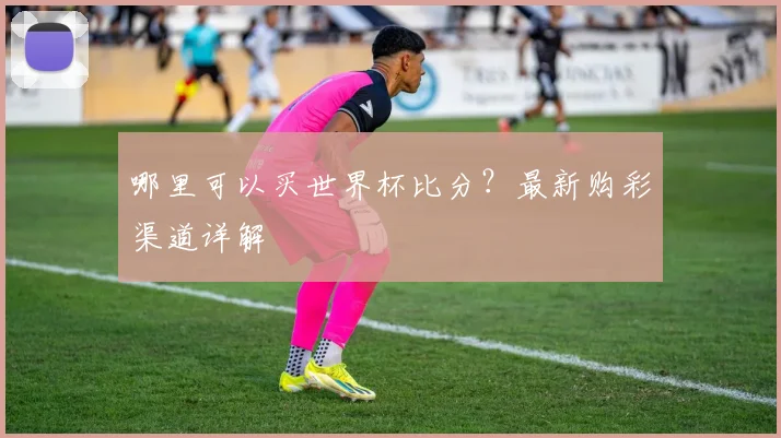 哪里可以买世界杯比分？最新购彩渠道详解
