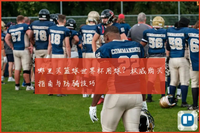 哪里买篮球世界杯用球？权威购买指南与防骗技巧