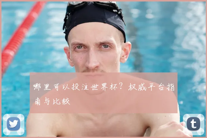 哪里可以投注世界杯？权威平台指南与比较