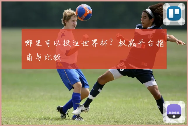 哪里可以投注世界杯？权威平台指南与比较