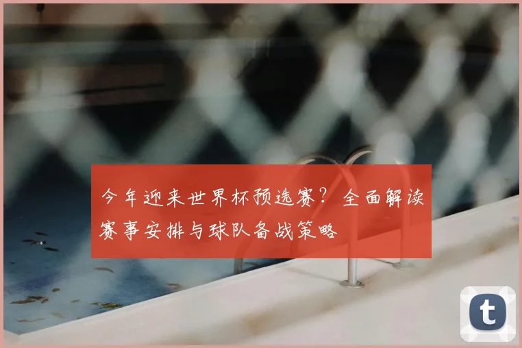 今年迎来世界杯预选赛？全面解读赛事安排与球队备战策略