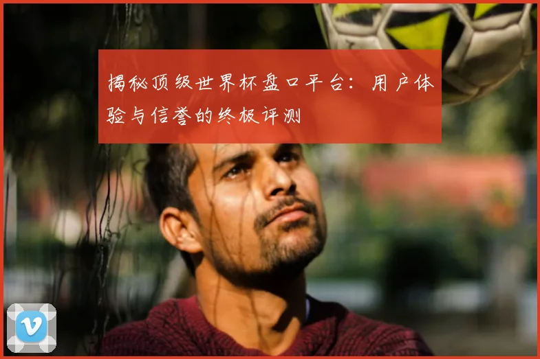 揭秘顶级世界杯盘口平台：用户体验与信誉的终极评测