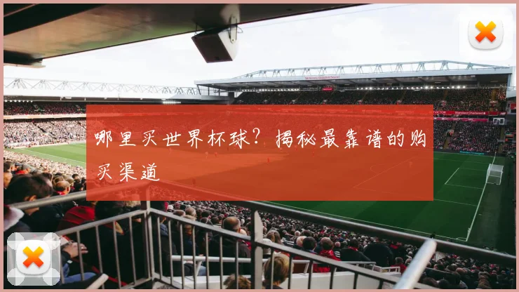 哪里买世界杯球？揭秘最靠谱的购买渠道