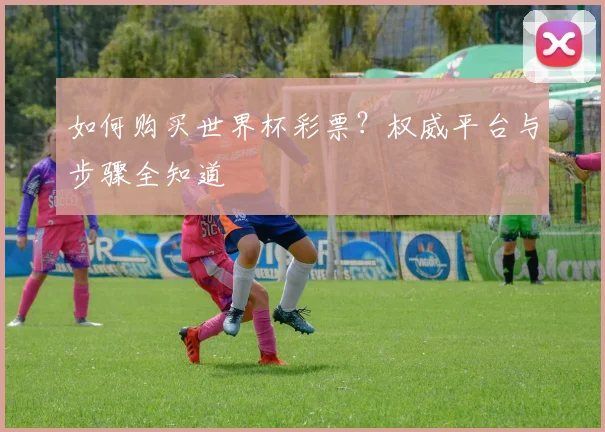 如何购买世界杯彩票？权威平台与步骤全知道