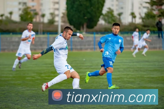 多媒体互动体验